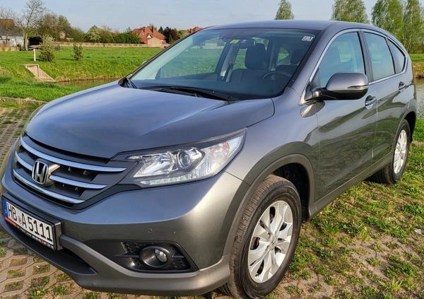 Honda CR-V cena 59909 przebieg: 168000, rok produkcji 2013 z Sieradz małe 529
